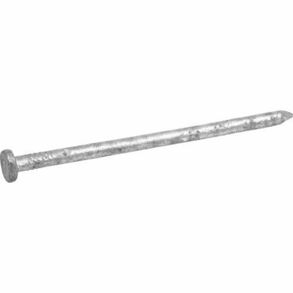 Hillman Common Nail, 3/8 in L, 10D, Steel, Galvanized Finish 461475